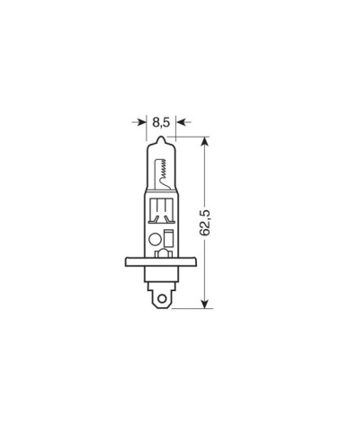 24V Lampada alogena - H1 - 70W - P14,5s - 1 pz  - D Blister