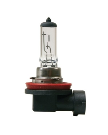 24V Lampada alogena - H11 - 70W - PGJ19-2 - 1 pz  - D Blister