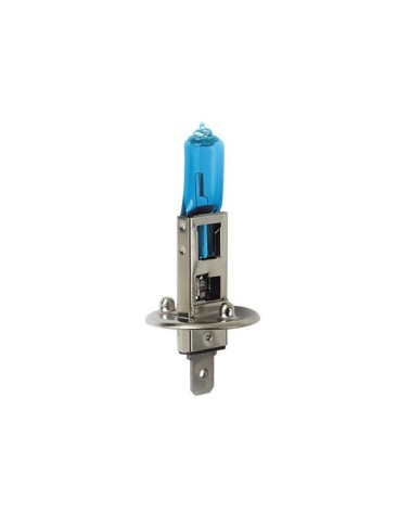 24V Lampada alogena Blu-Xe - H1 - 70W - P14,5s - 1 pz  - Scatola