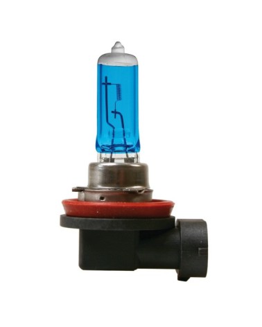 24V Lampada alogena Blu-Xe - H11 - 70W - PGJ19-2 - 2 pz  - D Blister