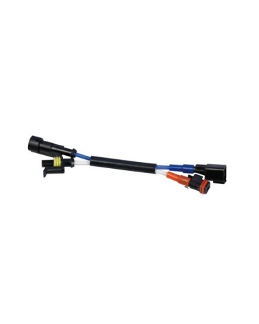 Cablaggio adattatore kit xenon, 12 24V