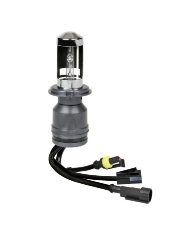 12 24V Lampadina HID Xenon 5.000K - H4 - 1 pz  - Scatola