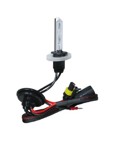 12 24V Lampadina HID Xenon 4.300K - H1 - 1 pz  - Scatola