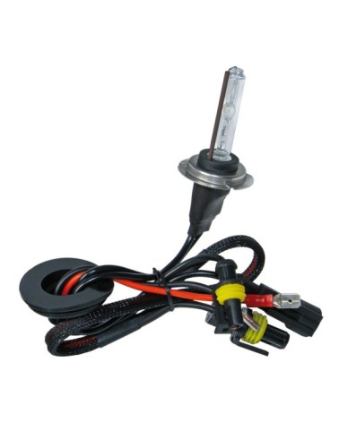 12 24V Lampadina HID Xenon 6.000K - H7 - 1 pz  - Scatola