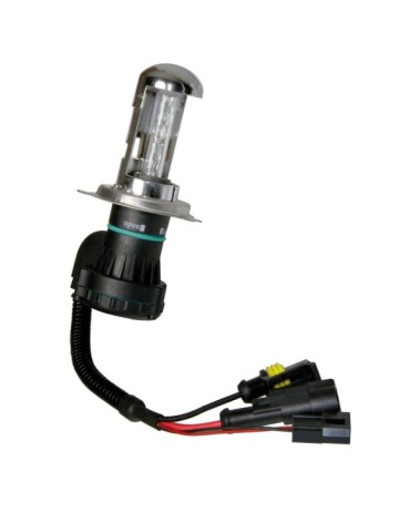 12 24V Lampadina HID Xenon 4.300K - H4 - 1 pz  - Scatola - dal Bi-Xenon