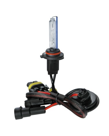 12 24V Lampadina HID Xenon 8.000K - HB3 9005 - 1 pz  - Scatola