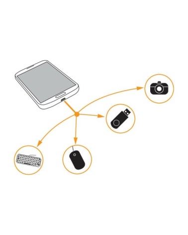 Cavo OTG Usb  al  Micro Usb - 20 cm - Nero