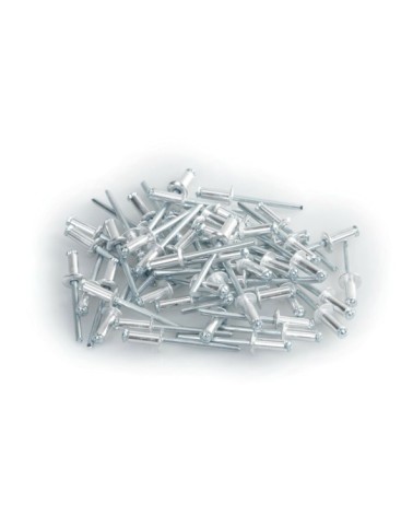 Aluminium Rivets, set 50 rivetti Graf per portatarga - Argento