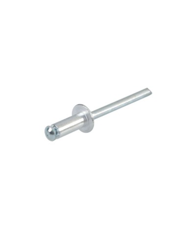 Aluminium Rivets, set 50 rivetti Graf per portatarga - Argento