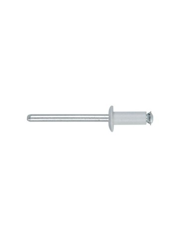 Aluminium Rivets, set 50 rivetti Graf per portatarga - Bianco